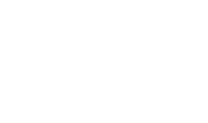 Birmingham PT Logo